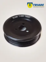 Polea de la Bomba del Agua